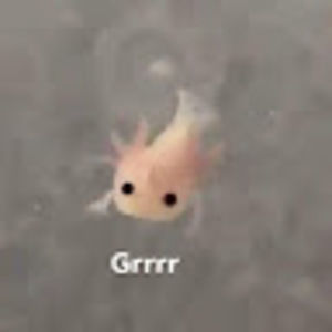 Meet your Posher, Wow_it’s_